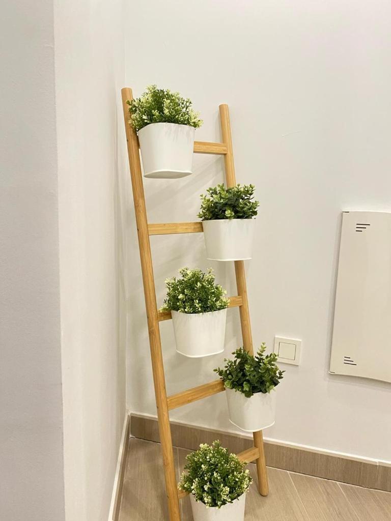 Brisa Puerto Marina Apartments Benalmádena Zewnętrze zdjęcie